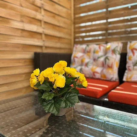 Apartment Cosy In With A Terrasse